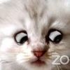 cooladdict